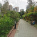 Ботанический и зоологический сады Гонконга